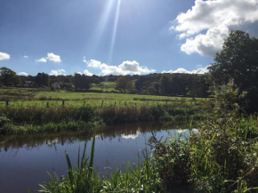 Serenity- Uk38551